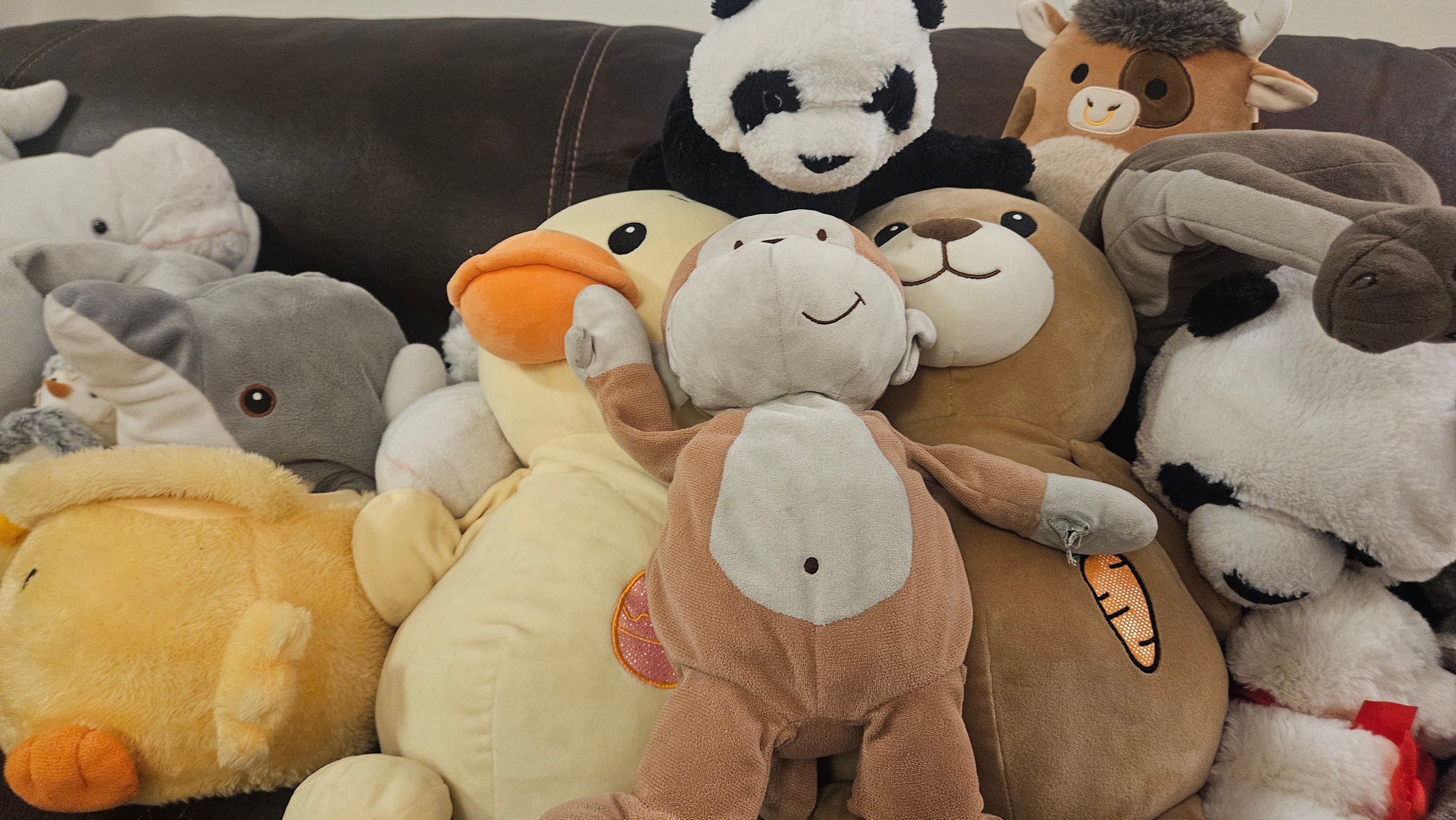The gang of stuffs